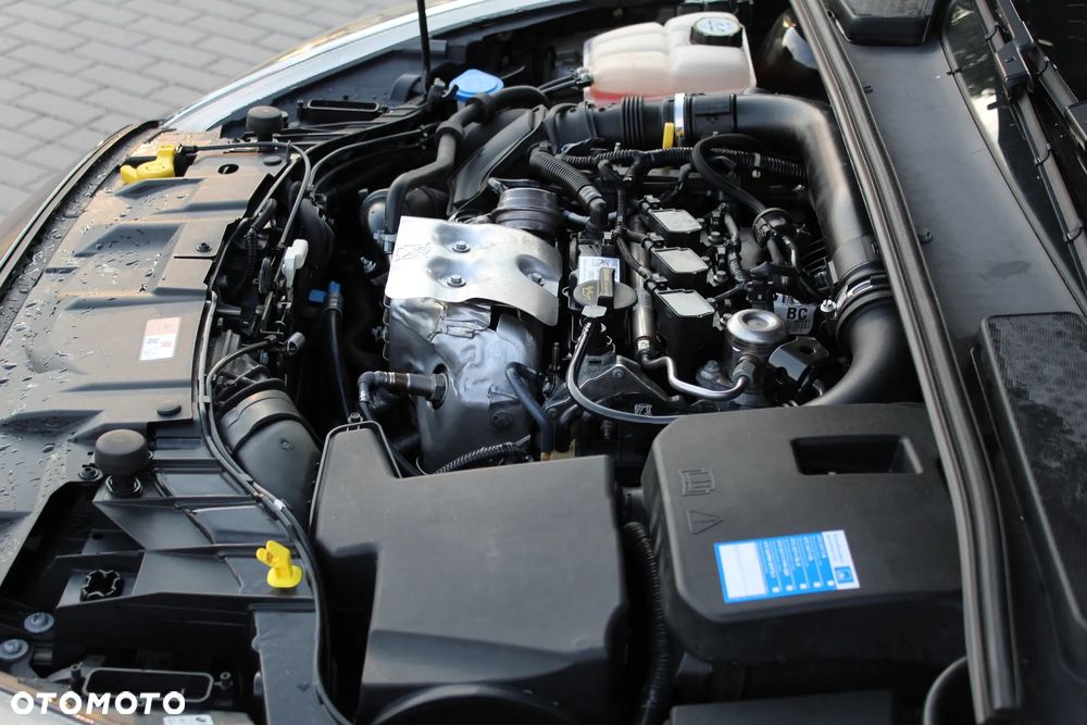 Ford Focus 1.0 EcoBoost ST-Line Black ASS - 25