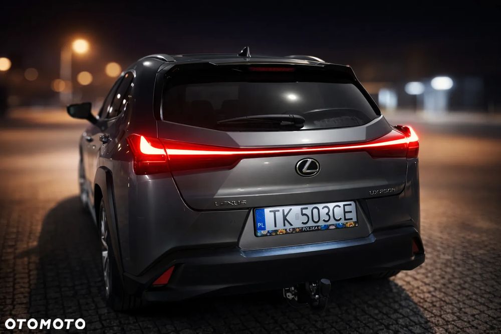 Lexus UX 250h Luxury Line - 12