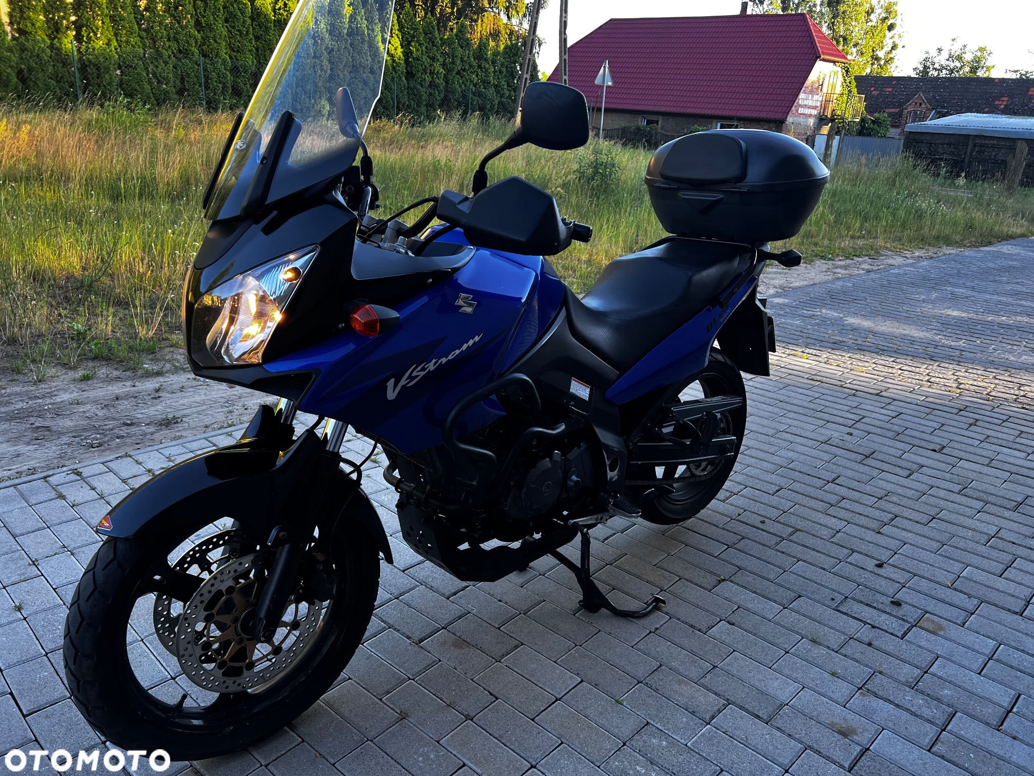 Suzuki DL - 3
