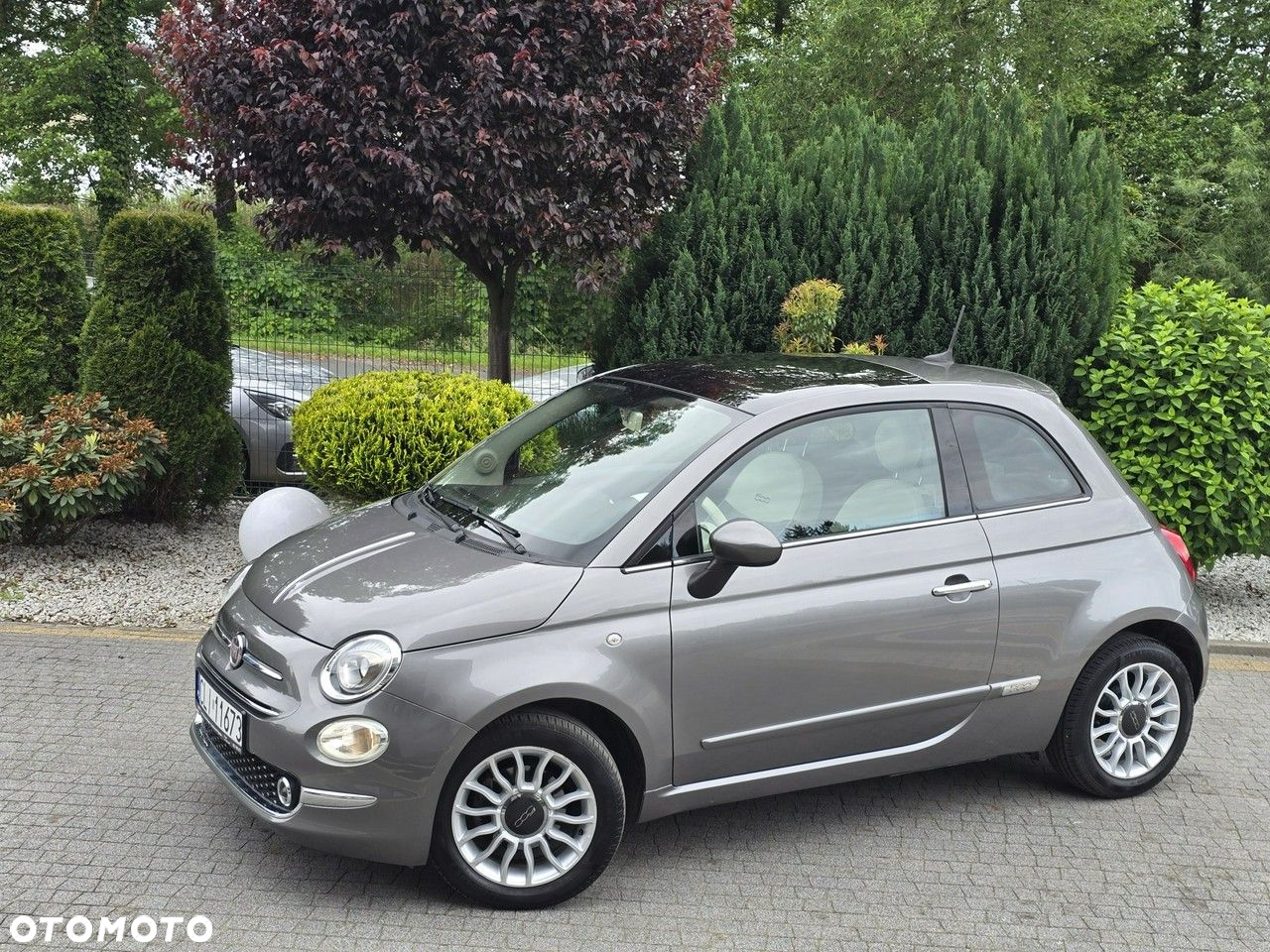 Fiat 500 - 3