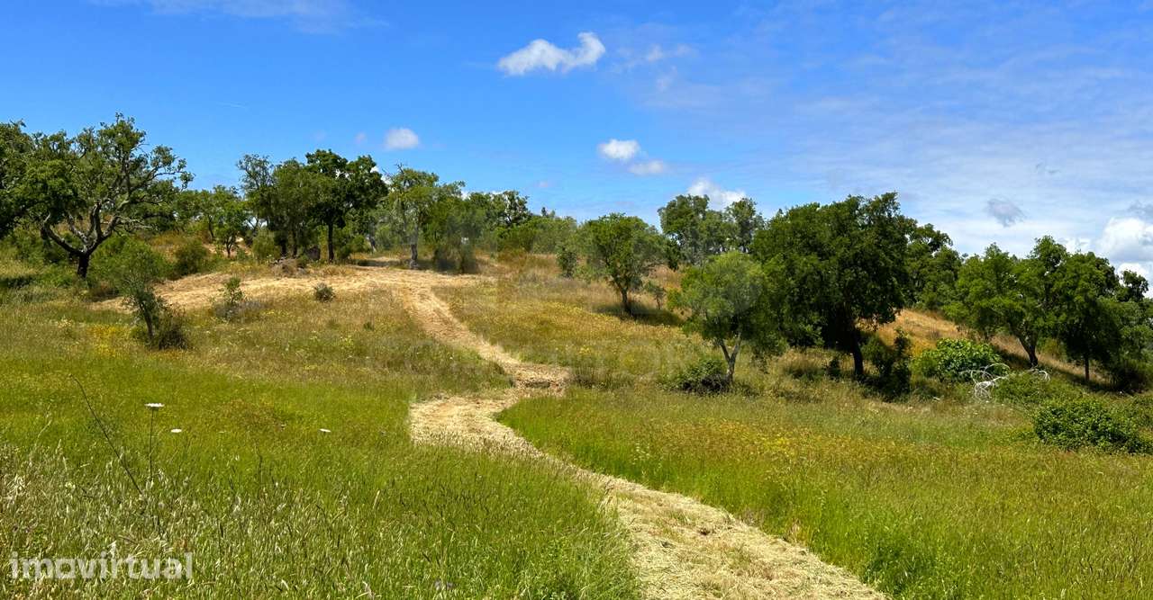 Herdade com 11,6 hectares em São Bartolomeu da Serra, Santiago do C... - Grande imagem: 5/50