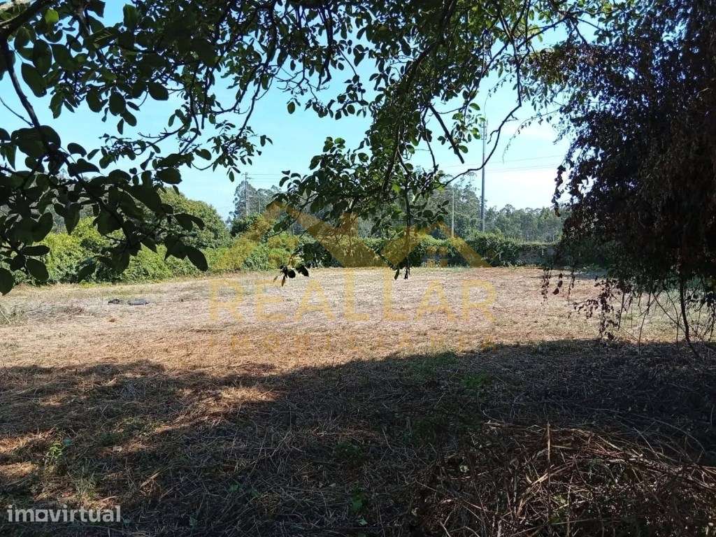 Terreno Urbano com Potencial de Construção Beiriz, Póvoa de Varzim - Grande imagem: 5/17
