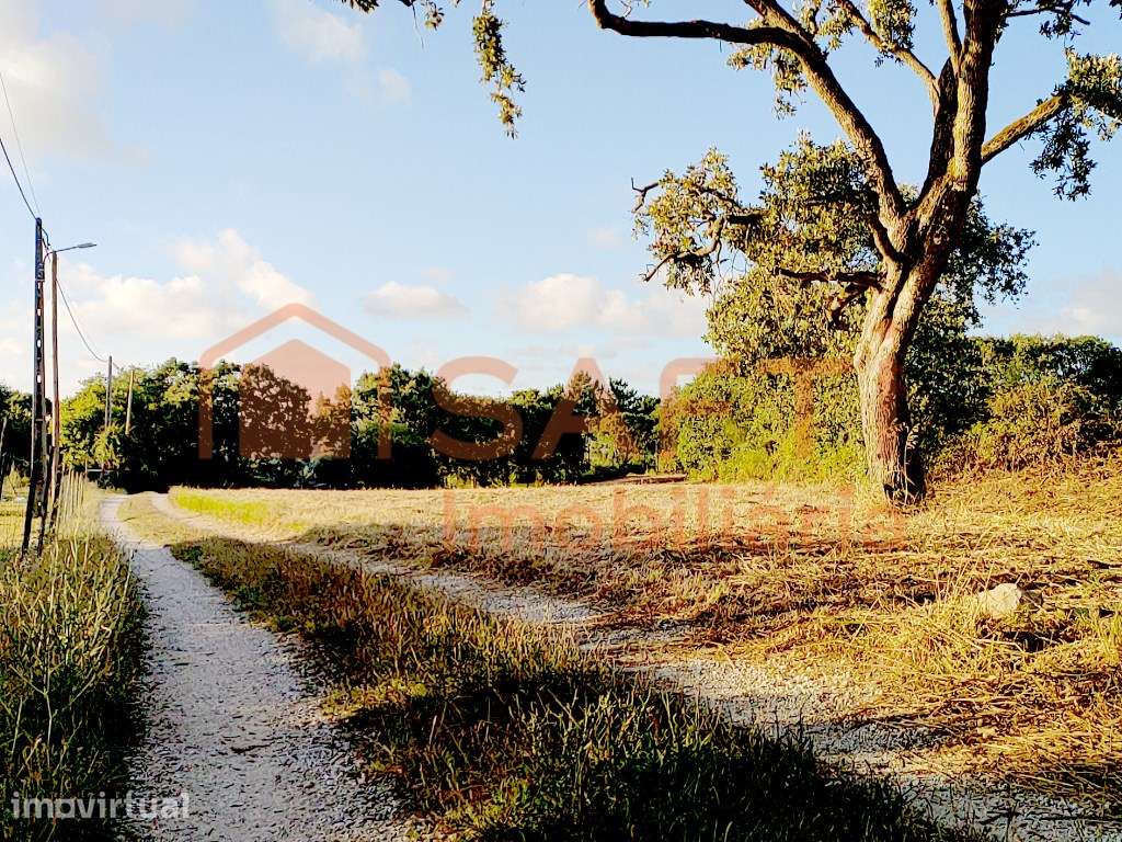 Terreno com 5000 m² com potencial para Turismo Rural (+ de 10 Quart... - Grande imagem: 5/15