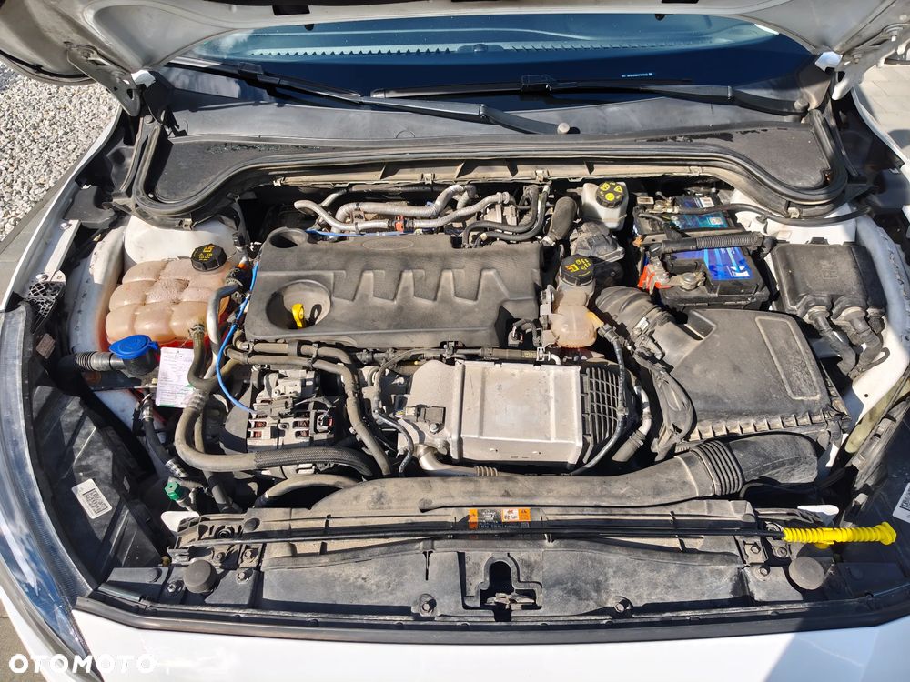 Ford Focus - 10