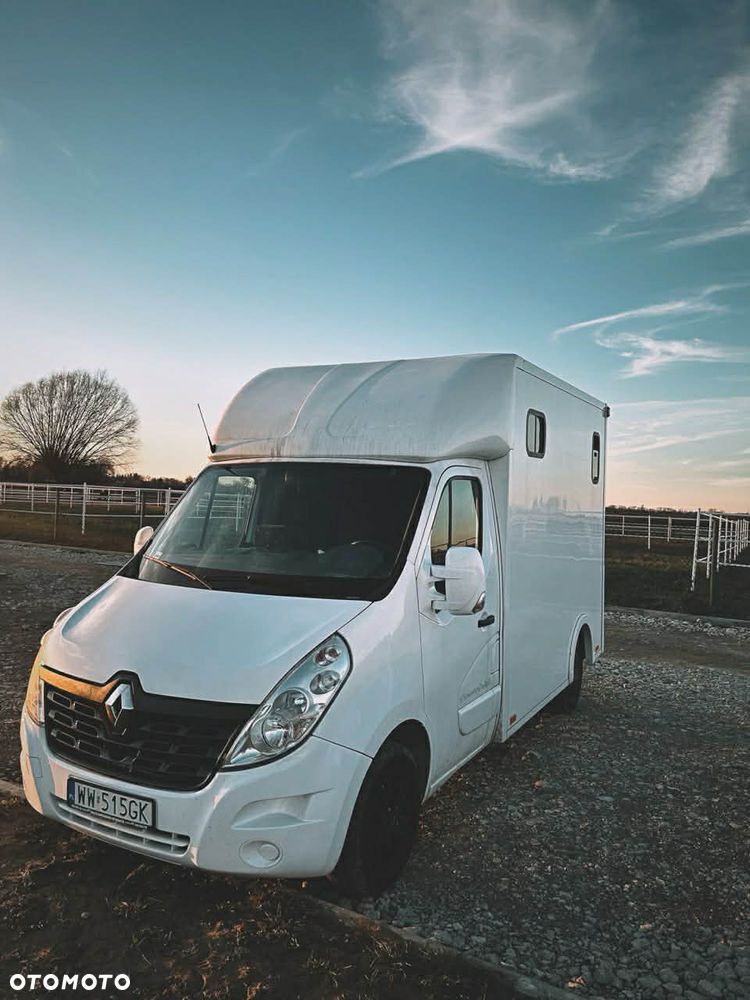 Renault Master Koniowóz na 2 konie - 5