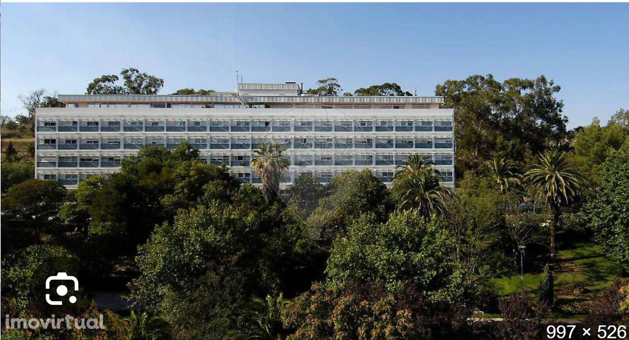 Loja  para arrendamento - Grande imagem: 2/16