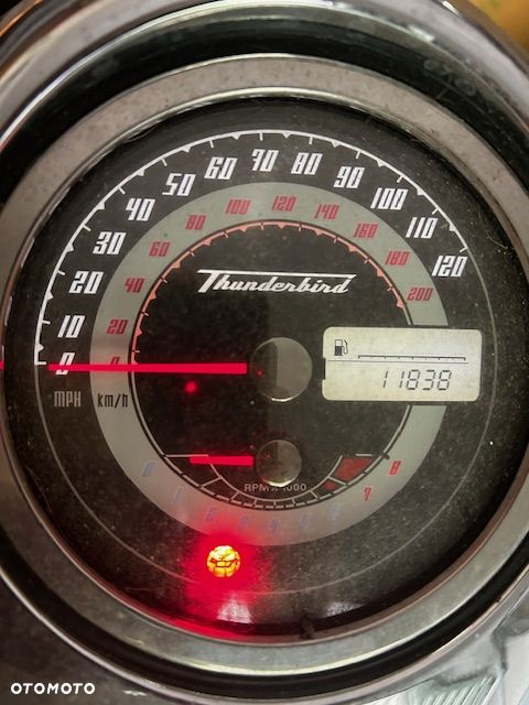 Triumph Thunderbird - 17