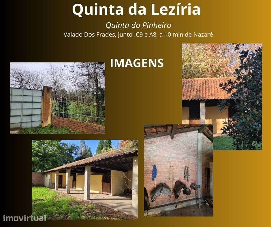 Terreno rústico em Valado dos Frades - Grande imagem: 5/5