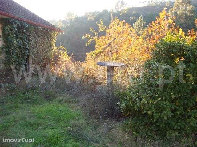 Herdade - Grande imagem: 4/20