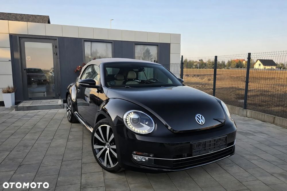 Volkswagen Beetle - 9