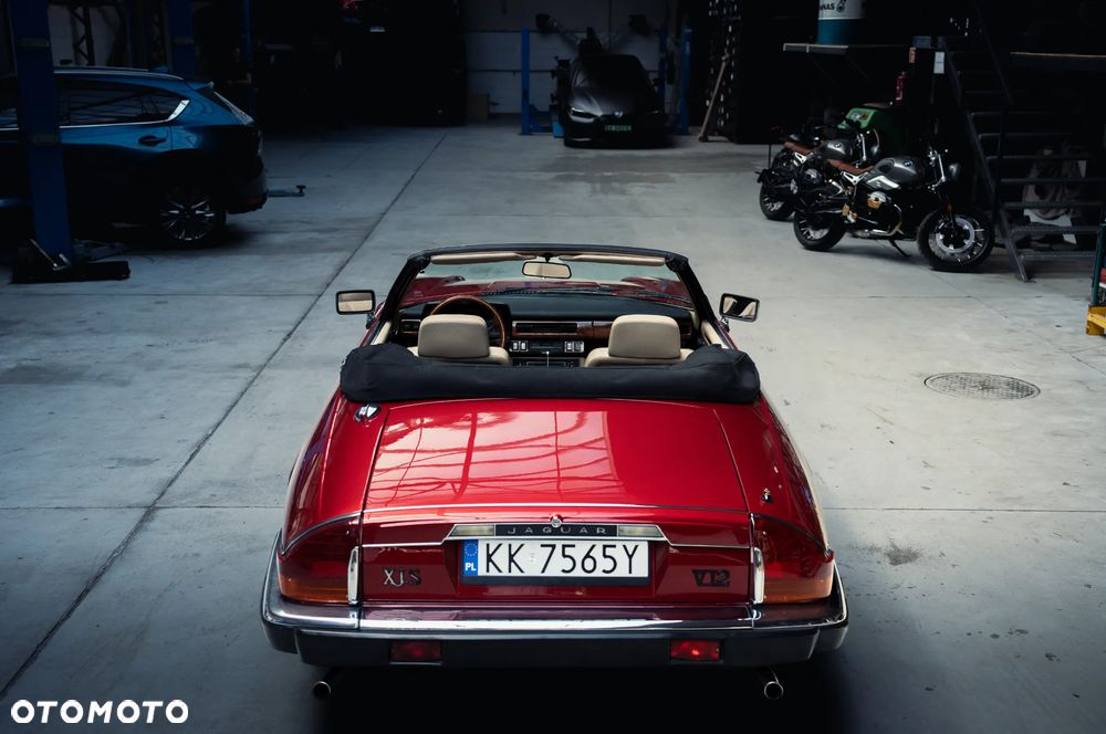 Jaguar XJS - 27