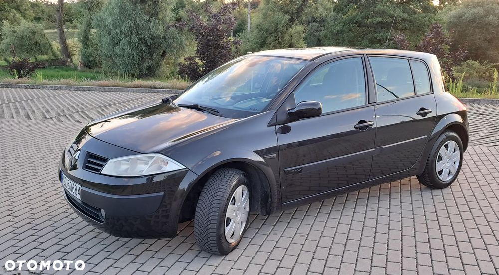 Renault Megane 1.4 16V Authentique - 19