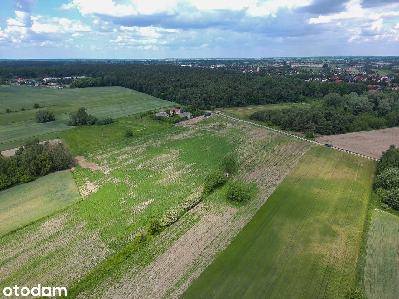 Działki pod zabudowę siedliskową – Maszewo nad Wisłą - Pełny obrazek: 3/3
