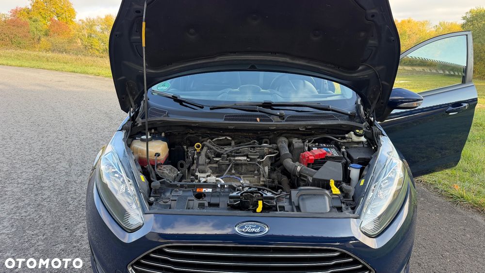 Ford Fiesta - 13