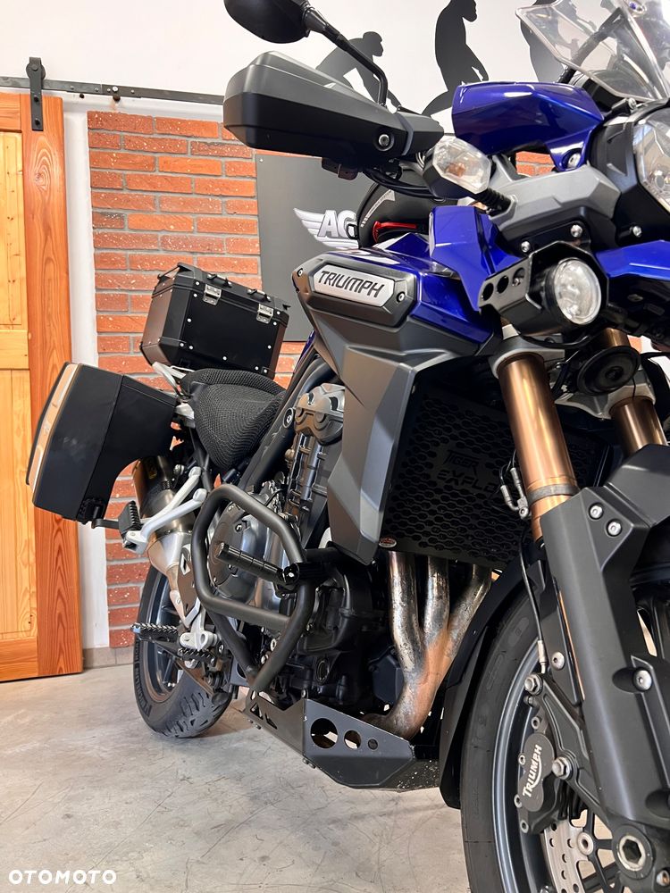 Triumph Tiger - 5
