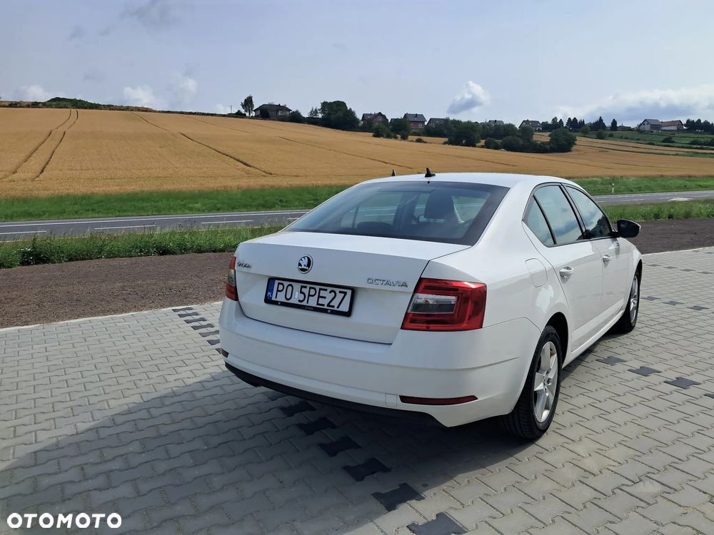 Skoda Octavia - 7