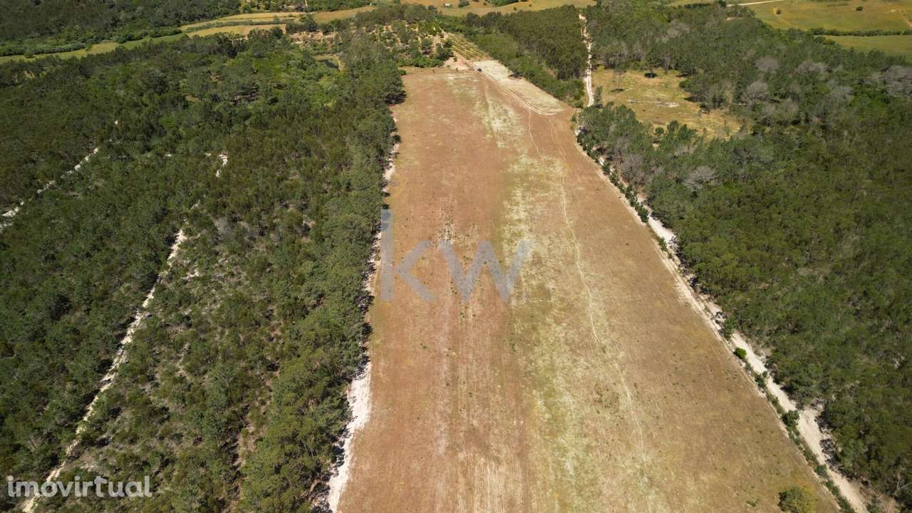 Casa de Campo tipicamente portuguesa com 20 hectares - Pedralva, Vila - Grande imagem: 2/51