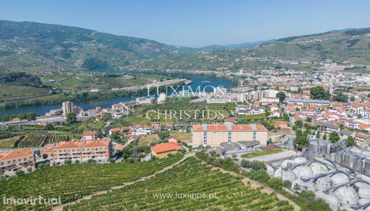 Quinta Vinícola, para venda, no Peso da Régua, Alto Douro Vinhateiro - Grande imagem: 4/25
