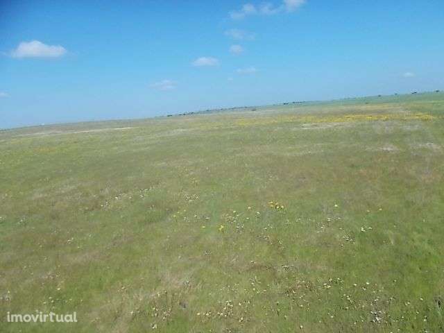 Terreno Agrícola viabilidade construção 5,15ha - Grande imagem: 2/8