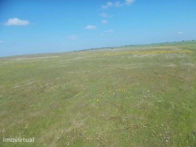 Terreno Agrícola viabilidade construção 5,15ha - Grande imagem: 2/8