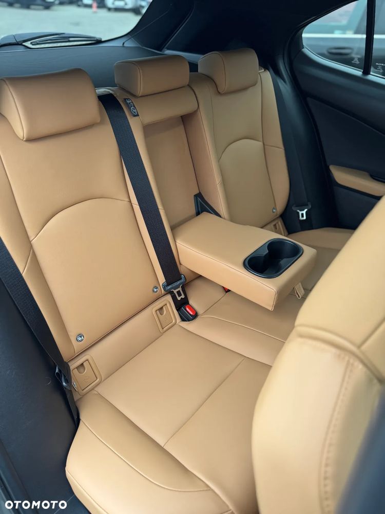 Lexus UX 300h F Sport Design - 16