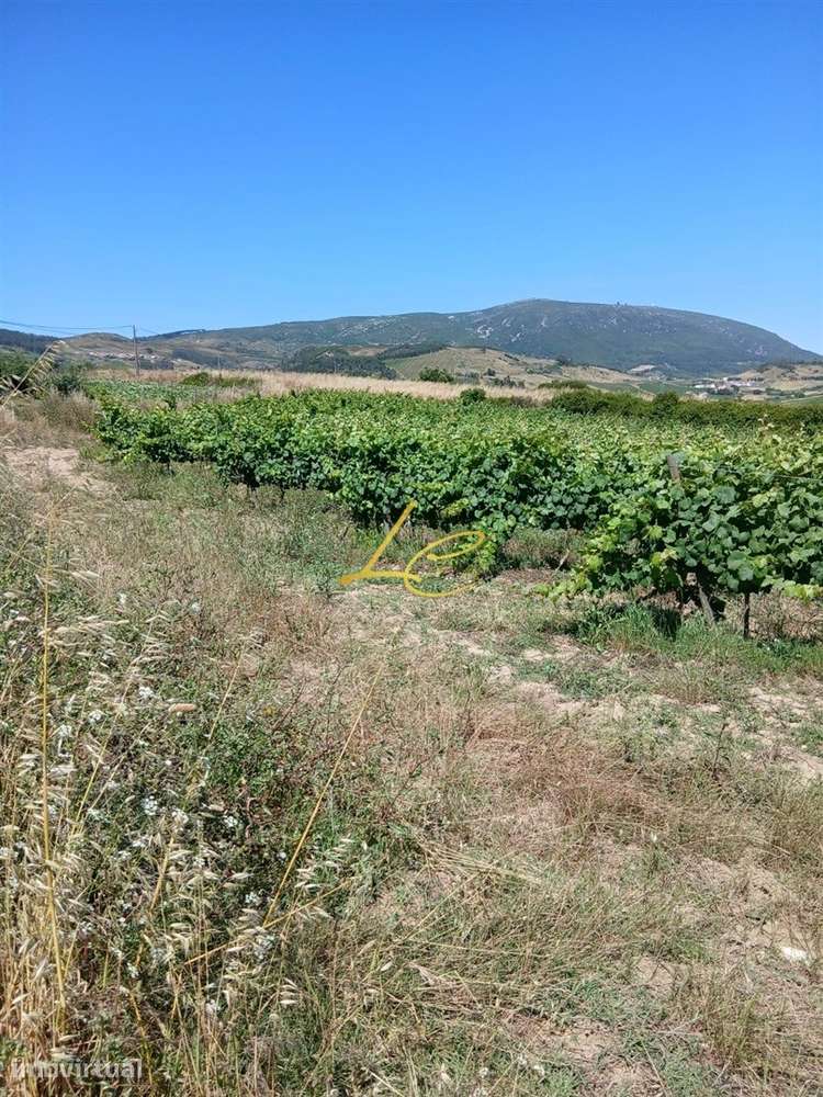 Terreno  Venda em Vila Verde dos Francos,Alenquer - Grande imagem: 4/6