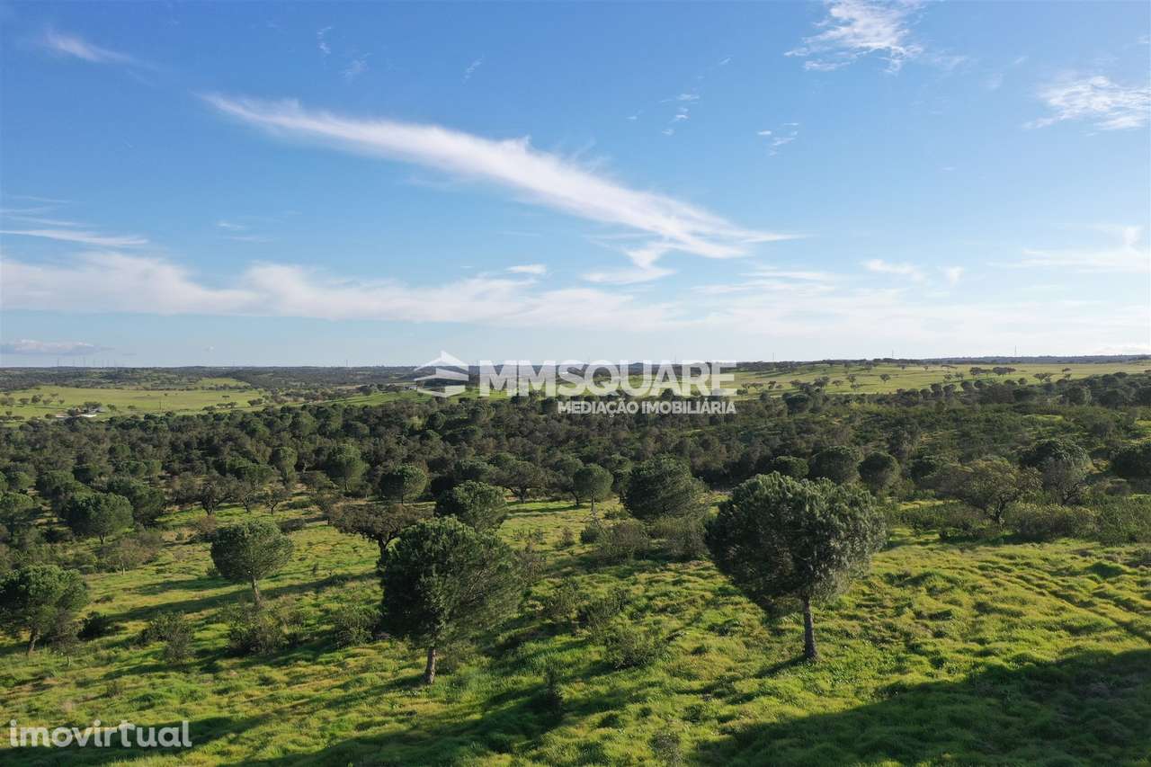 Herdade em Ourique - Grande imagem: 2/55