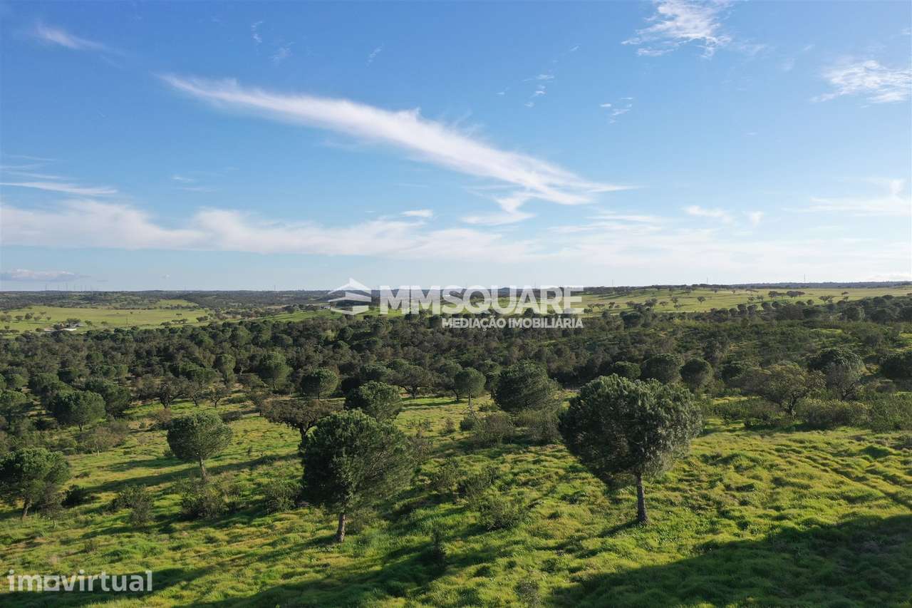 Herdade em Ourique - Grande imagem: 2/55