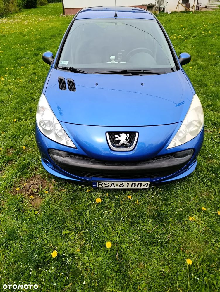 Peugeot 206 plus - 8