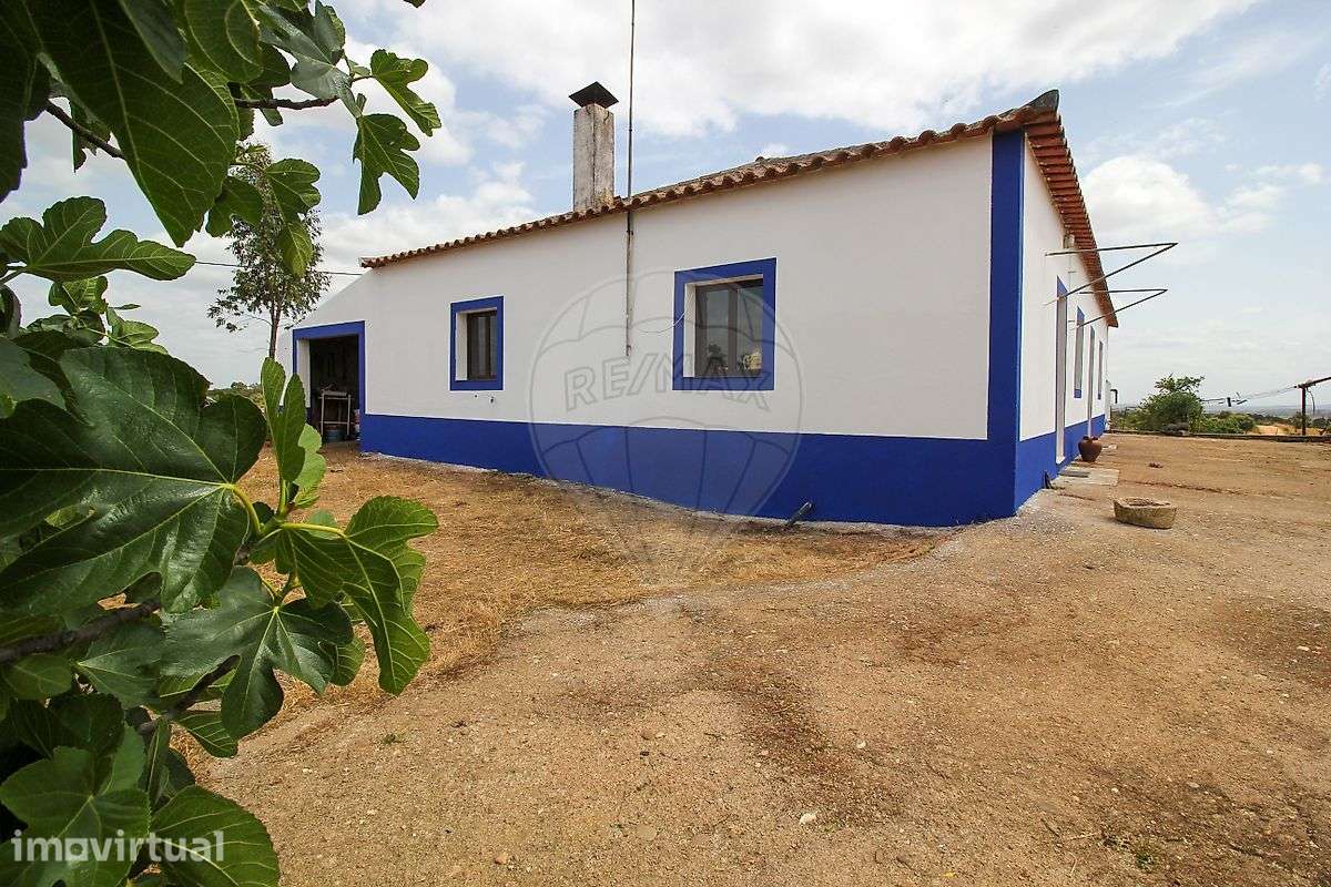 Quinta T3 para venda - Grande imagem: 5/50