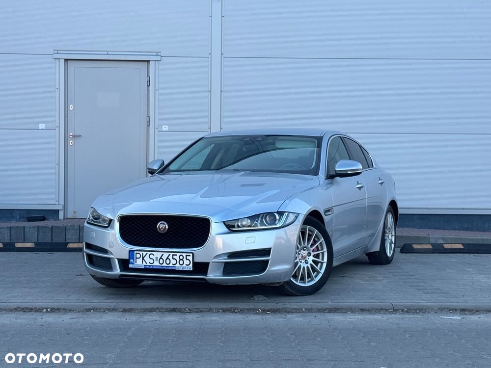Jaguar XE E-Performance Pure - 1