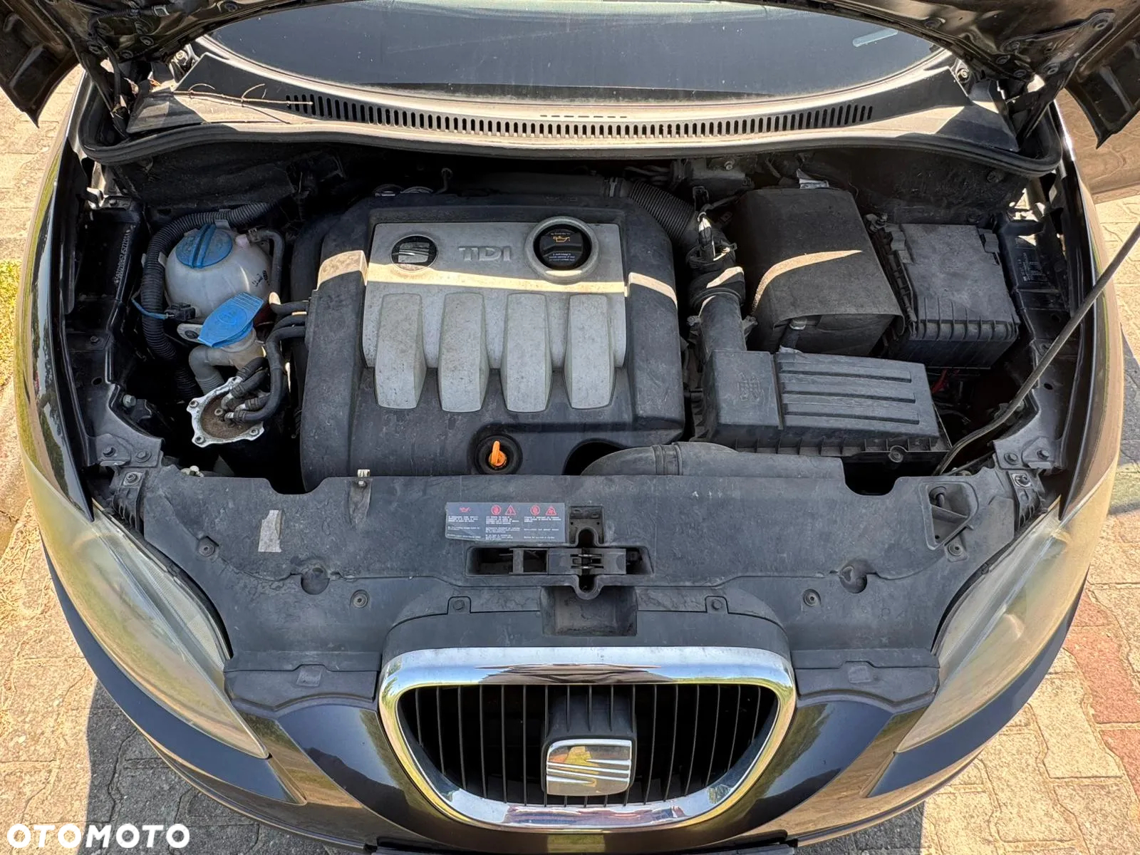 Seat Altea - 20