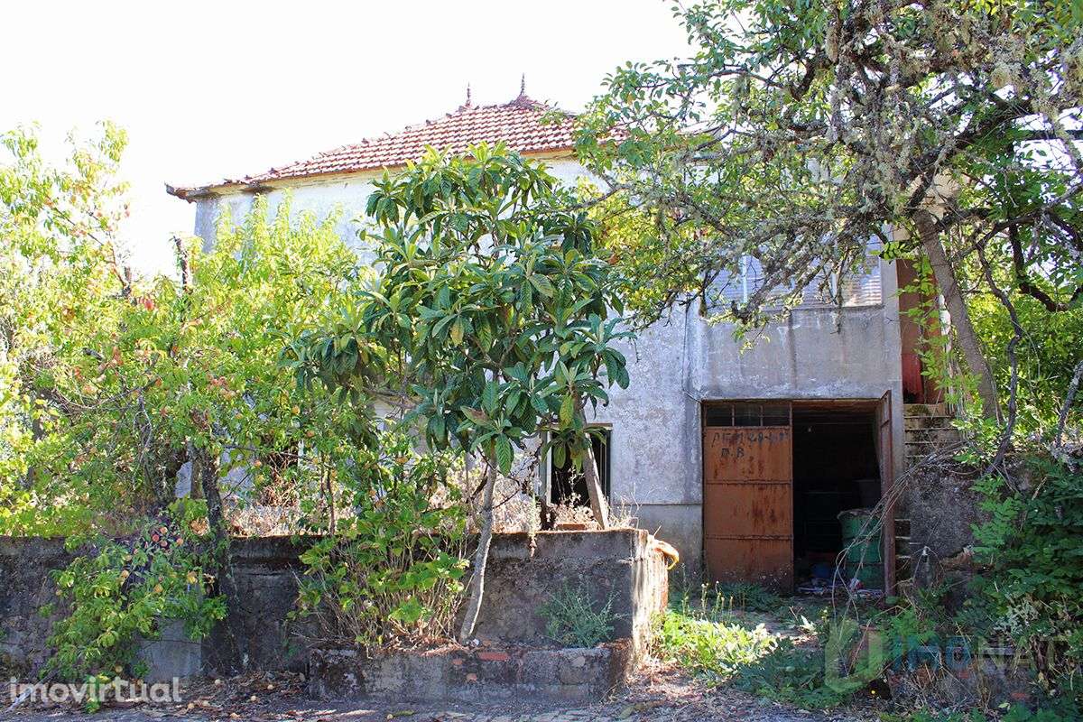 Quinta T3 - Grande imagem: 2/46