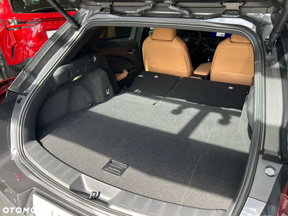 Lexus UX 300h F Sport Design - 13