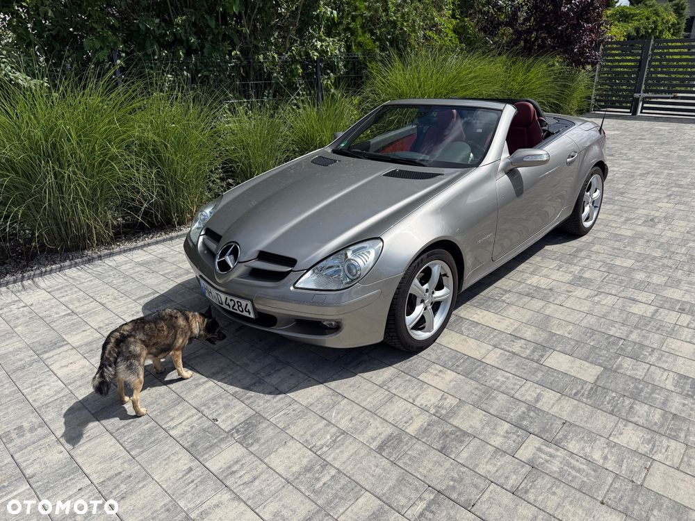 Mercedes-Benz SLK - 18