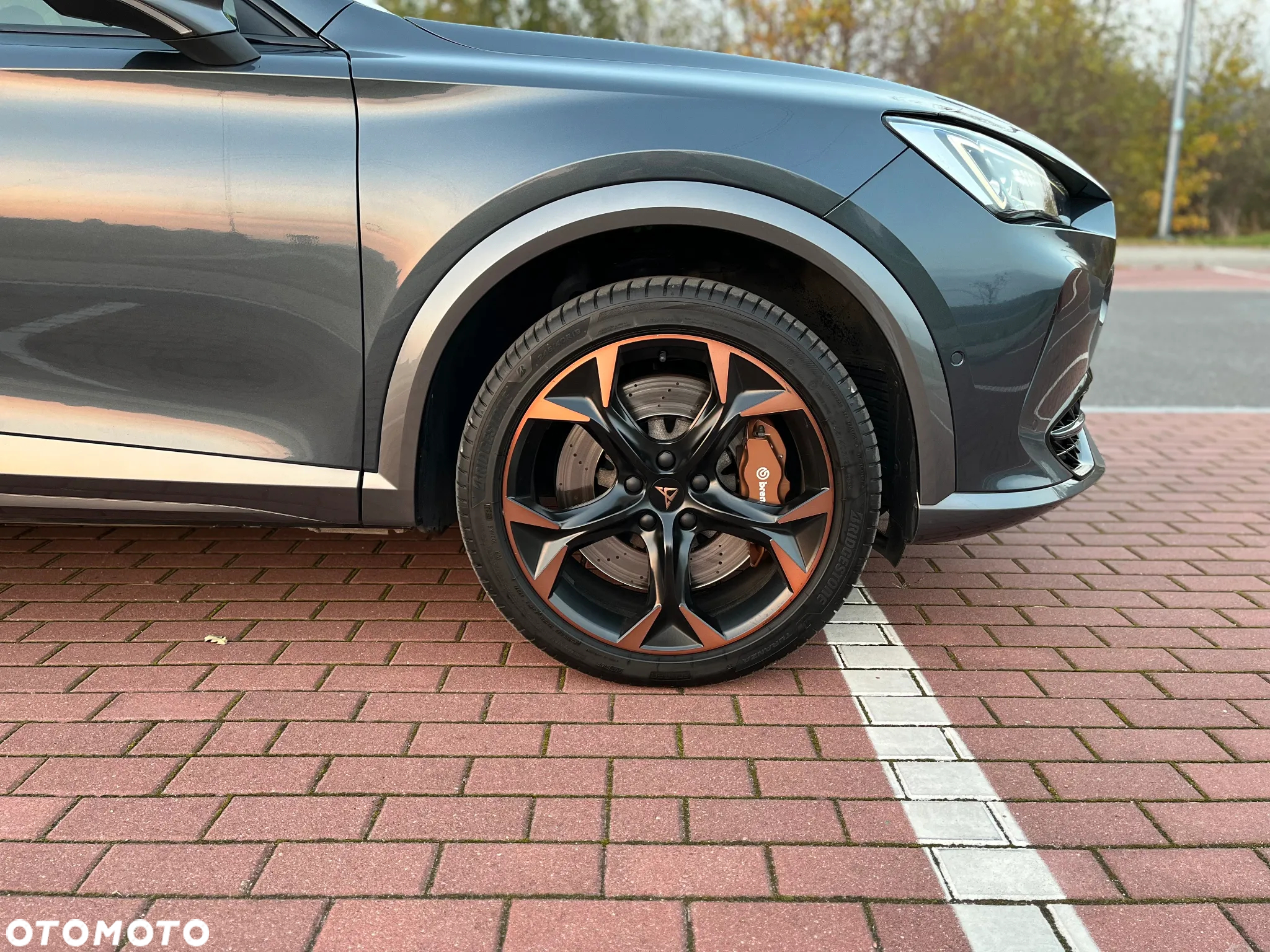 Cupra Formentor 2.0 TSI 4Drive VZ DSG - 3