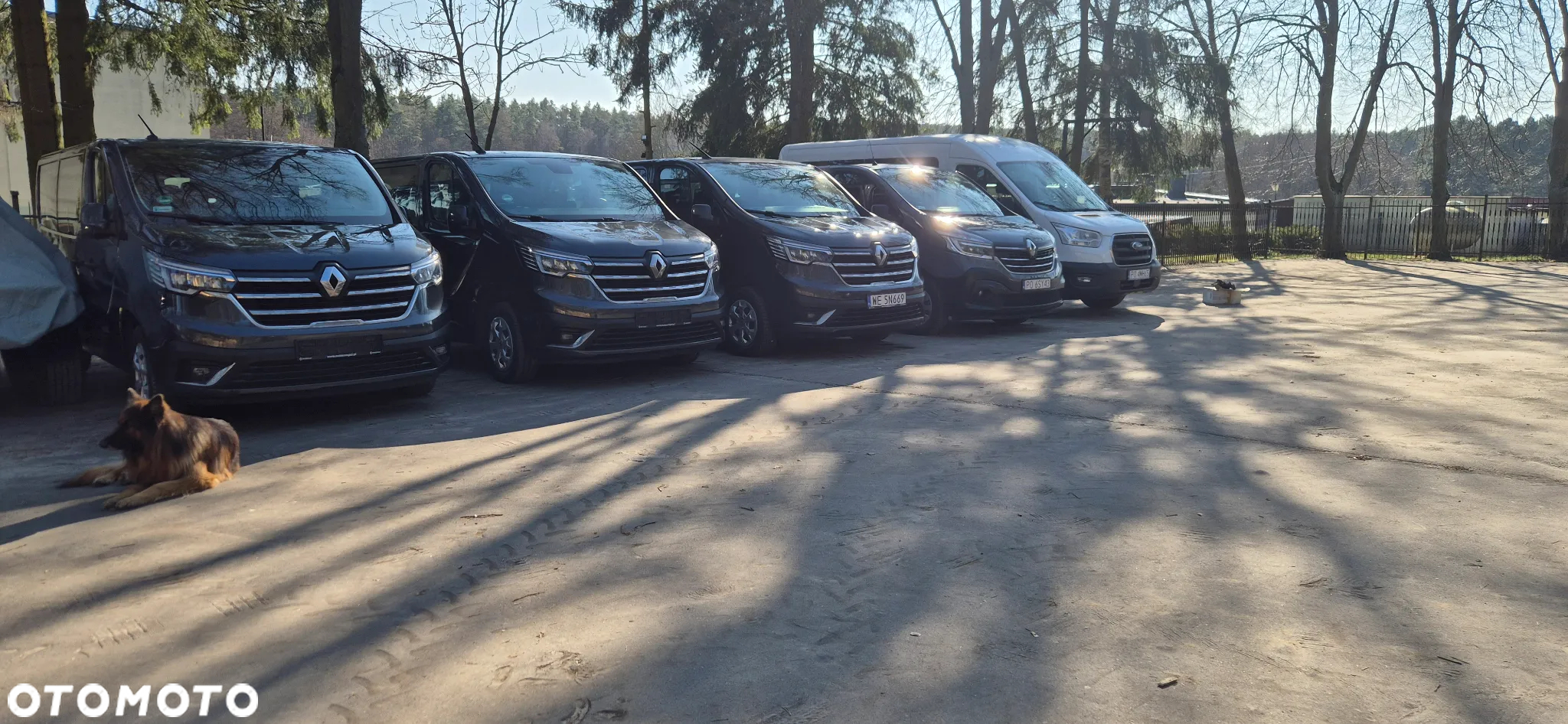 Ford Transit 350 L2H3 Ambiente - 17