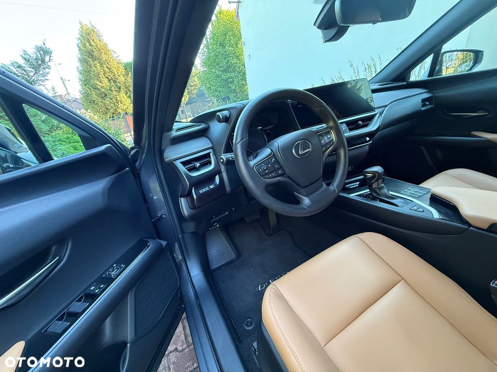 Lexus UX 250h GPF F Sport Design+ 2WD - 15