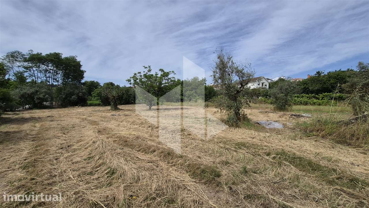 Terreno Para Construção  Venda em Tondela e Nandufe,Tondela - Grande imagem: 5/9