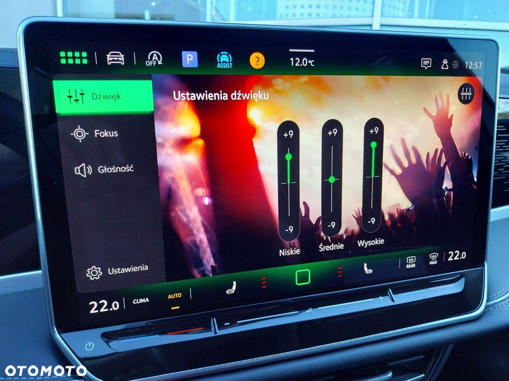 Volkswagen Passat - 31