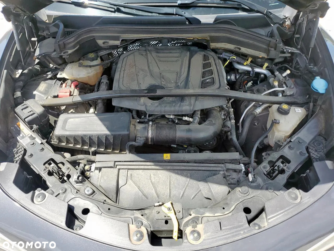 Alfa Romeo Stelvio 2.0 Turbo 16V AT8-Q4 Veloce Ti - 12