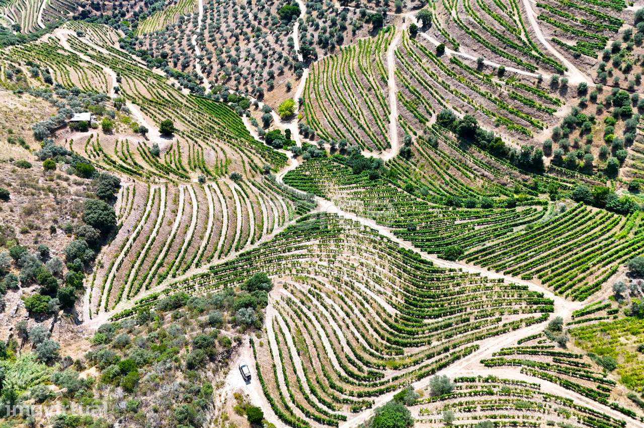 Terreno no Douro com 18.278 m² - Grande imagem: 3/20