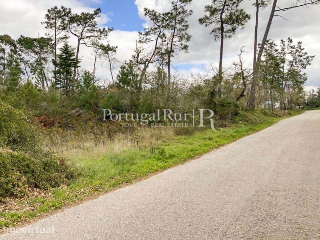 Terreno urbano para construção a 11km de Coimbra - Grande imagem: 2/6