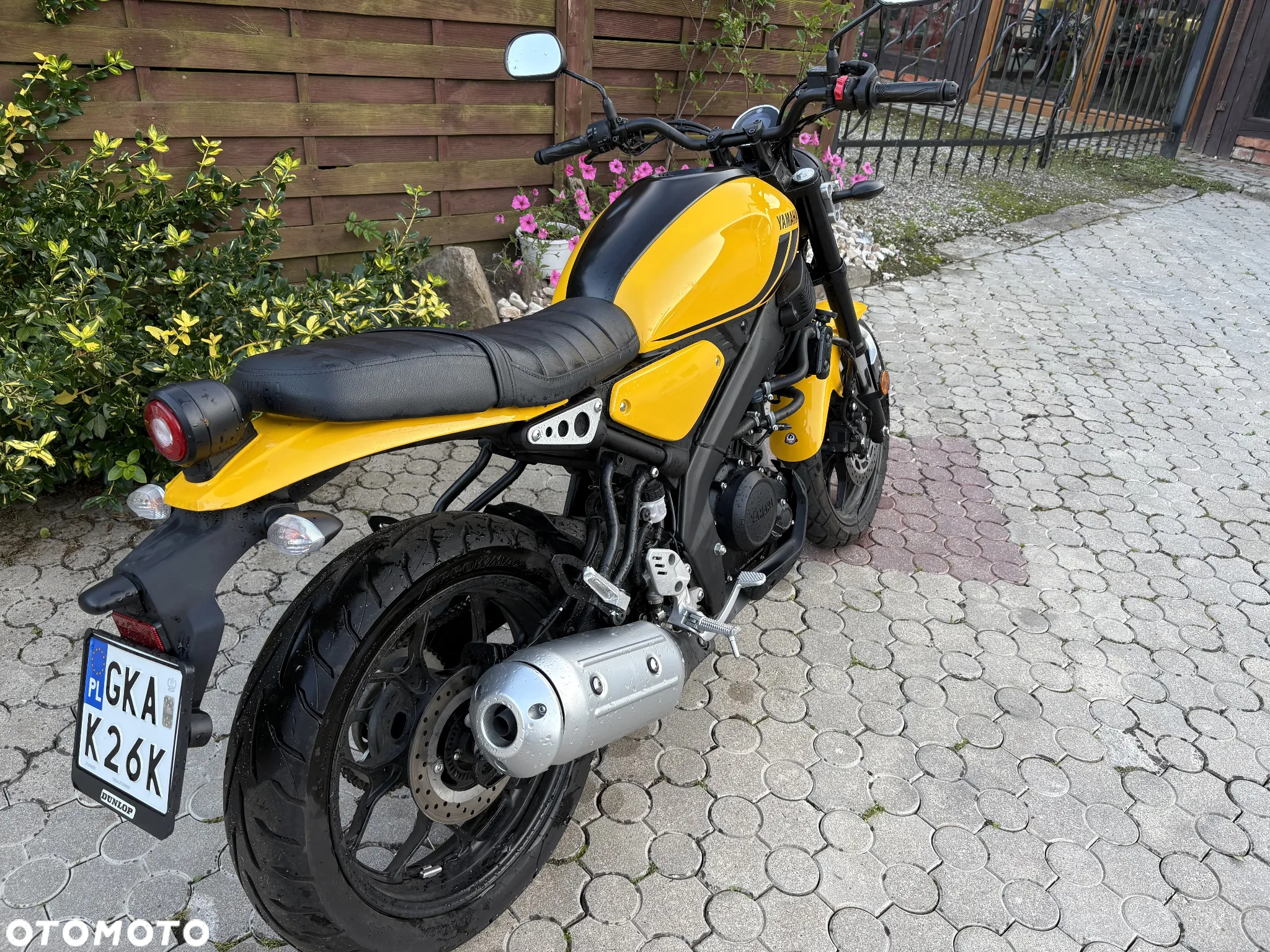 Yamaha XSR - 4