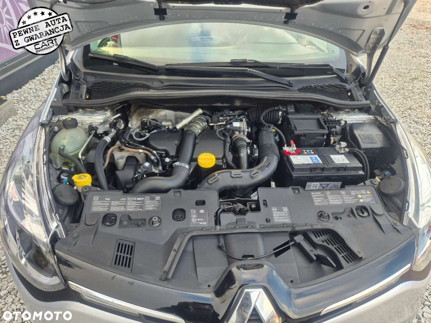 Renault Clio - 24