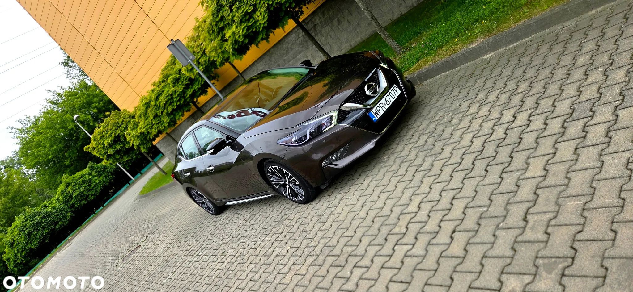 Nissan Maxima - 1