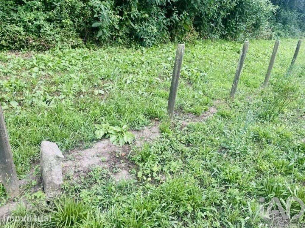 Terreno Agrícola em Loivo - Grande imagem: 3/17