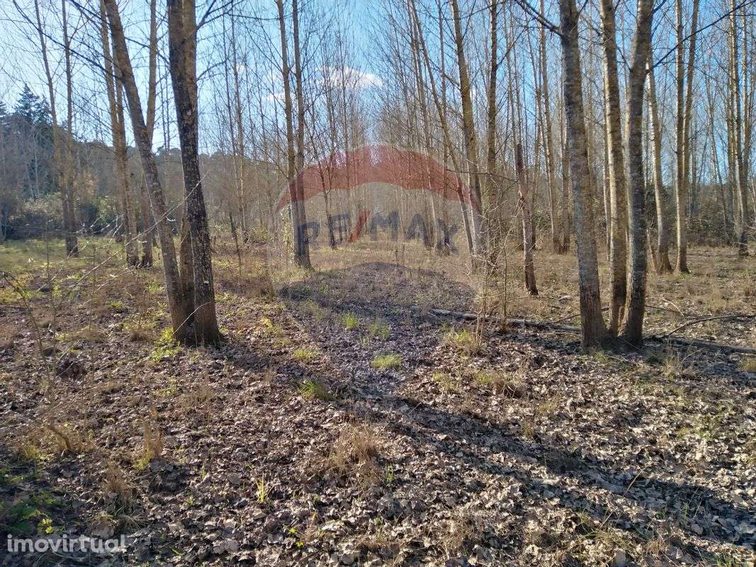 Terreno  para venda - Grande imagem: 3/25