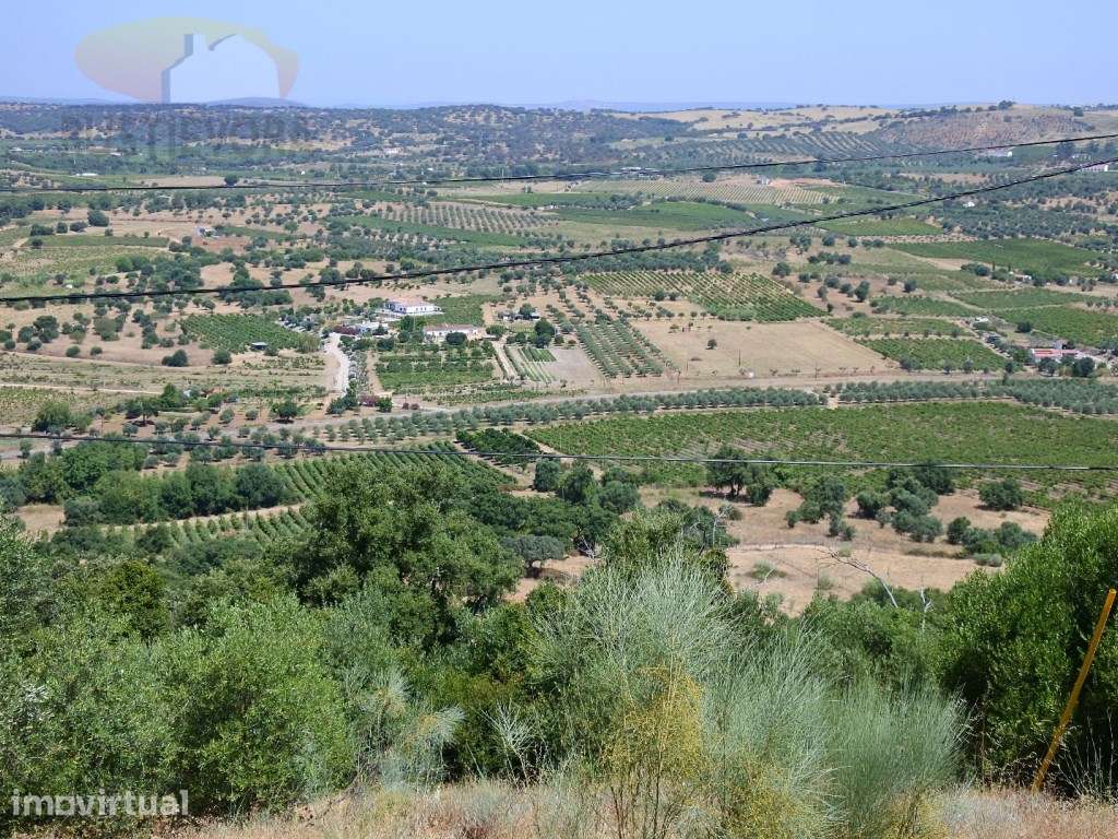Propriedade com 7,8 ha | Exploração de vinhas, olival, montado de s... - Grande imagem: 2/15