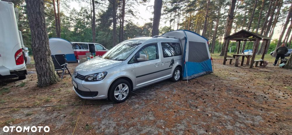 Volkswagen Kamper,Tramper,Beach,Westfalia,California - 40